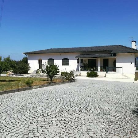 Casa Dos Lacos Viseu Dış mekan fotoğraf