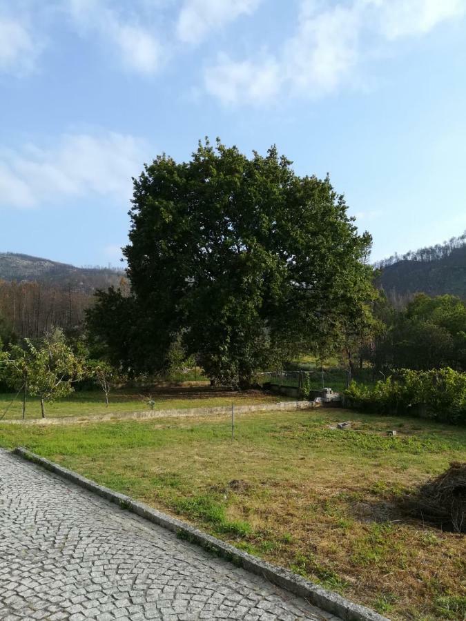 Casa Dos Lacos Viseu Dış mekan fotoğraf